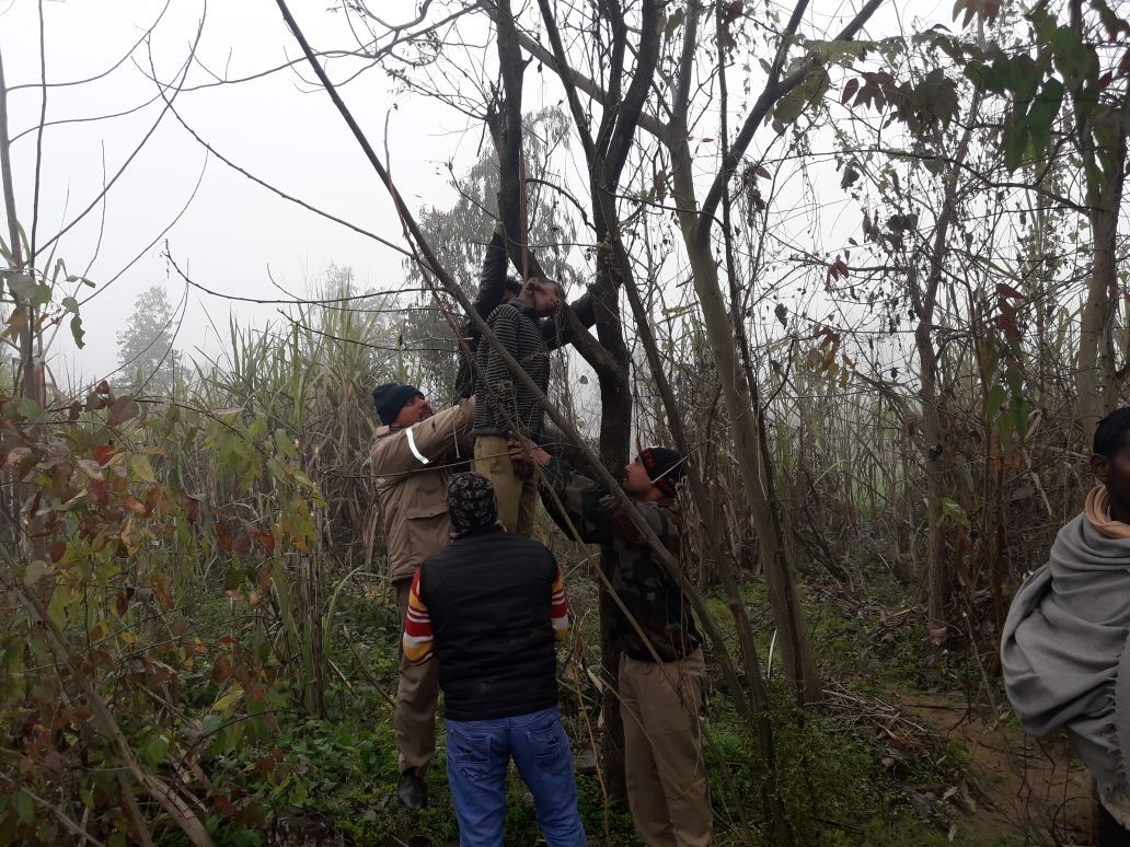 बिजनौर: पेड़ पर लटकी मिली 9वीं क्लास के छात्र की लाश, मचा हडकम्प