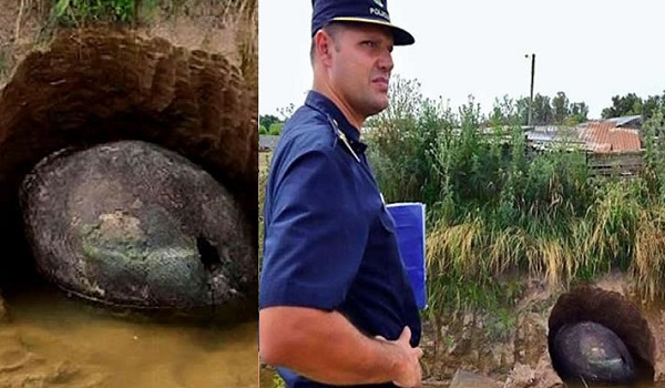 एक किसान को खेत में मिला विशालकाय अंडा, सोचा की होगा डायनासोर लेकिन निकला...