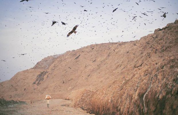 Ghazipur land fill: गाजीपुर स्थित कूड़े के पहाड़ पर बार-बार लगी आग भाजपा शासित नगर निगमों की भारी चूक और भ्रष्टाचार -चौ. अनिल कुमार Ghazipur land fill: गाजीपुर स्थित कूड़े के पहाड़ पर बार-बार लगी आग भाजपा शासित नगर निगमों की भारी चूक और भ्रष्टाचार -चौ. अनिल कुमार
