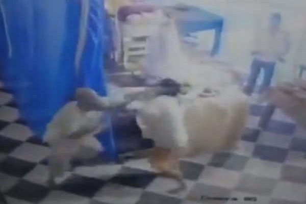 मथुरा के राधारानी मंदिर में दो साधुओं के बीच जमकर हुई मारपीट, वीडियो वायरल मथुरा के राधारानी मंदिर में दो साधुओं के बीच जमकर हुई मारपीट, वीडियो वायरल