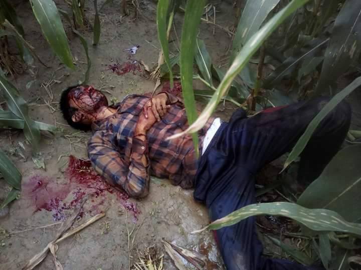 मक्के के खेत मे मिला घायल सिपाही, गोली मारे जाने की आशंका मक्के के खेत मे मिला घायल सिपाही, गोली मारे जाने की आशंका