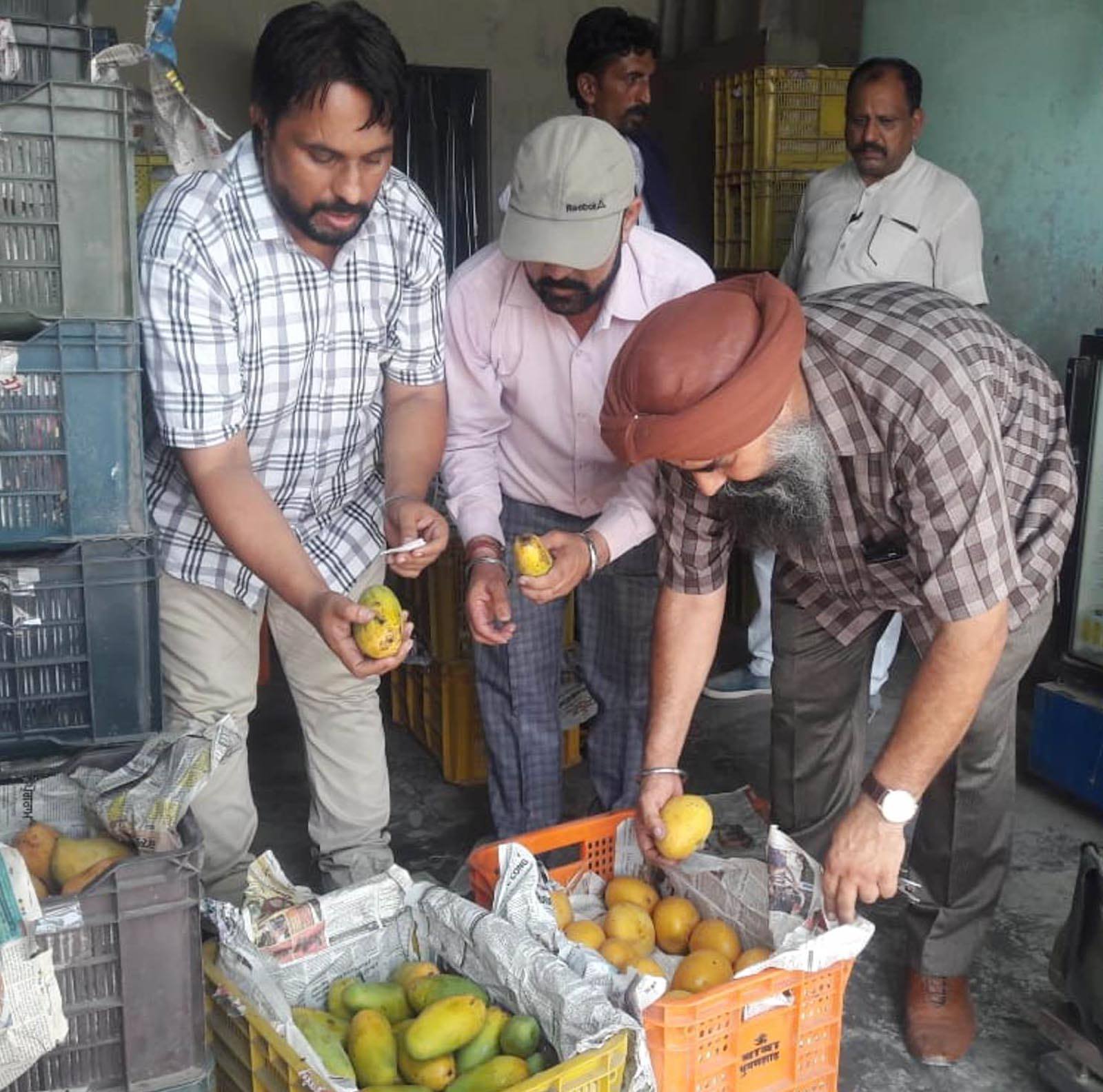 पंजाब के सरहदी शहरों में बिक रहे फलों पर कैमिकल अटैक  मानव अंगों को खतरा फल विक्रेताओं पर छापे