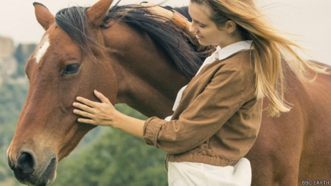 इस महिला की मौत हुई घोड़े से सेक्स के दौरान, जानकर पूरी घटना उड़ जायेंगे होश!