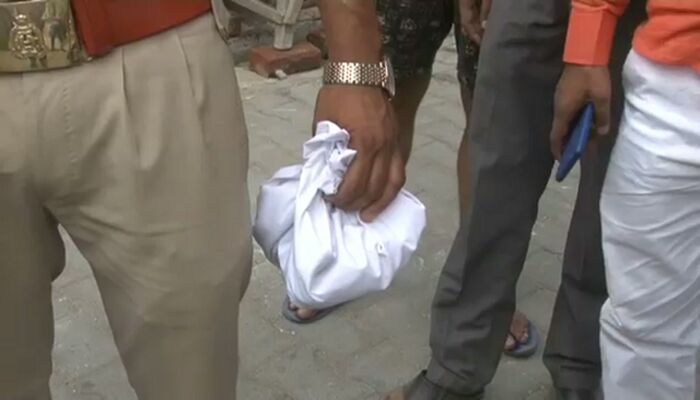 सीतापुर के बाद अब हरदोई में आमदखोर कुत्तो का आंतक, नवजात को नोच-नोच कर खा गए सीतापुर के बाद अब हरदोई में आमदखोर कुत्तो का आंतक, नवजात को नोच-नोच कर खा गए