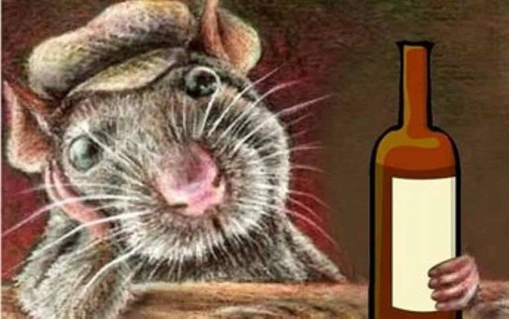 OMG! 9 लाख लीटर शराब एक झटके में चट कर गए चूहे