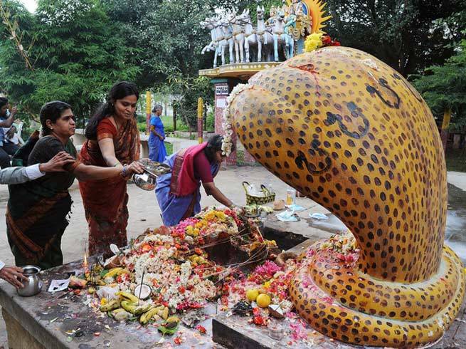 नागपंचमी विशेष: कुछ कथा, कुछ किदवंती नागपंचमी विशेष: कुछ कथा, कुछ किदवंती