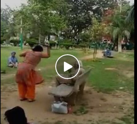 इस दुष्ट महिला को पहचानने में मदद करें, जिसने इस बुजुर्ग को बुरी तरह पीटा देखें वीडियो