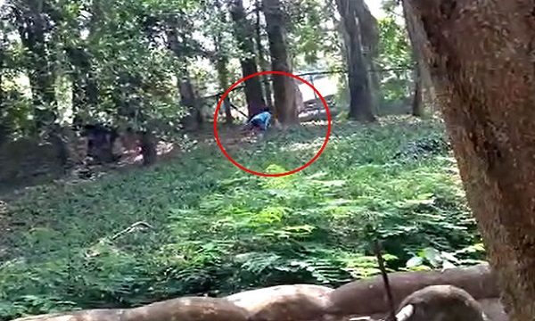 वीडियो वायरल: जब शेर के बाड़े में कूदा ये आदमी, फिर अचानक पिंजरे के अंदर...