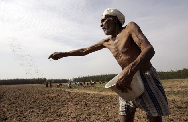 महाराष्ट्र के यवतमाल में मौत बना किसानों के लिए कीटनाशक, अब तक 20  किसानों की मौत