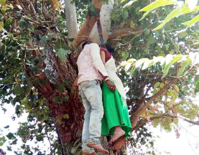 मर्जी के खिलाफ की शादी, पेड़ पर लटके मिले दोनों! मर्जी के खिलाफ की शादी, पेड़ पर लटके मिले दोनों!