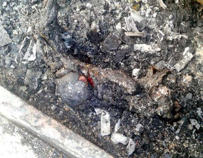 चलती बस बनी आग का गोला, मां-बेटी जिंदा जलीं चलती बस बनी आग का गोला, मां-बेटी जिंदा जलीं