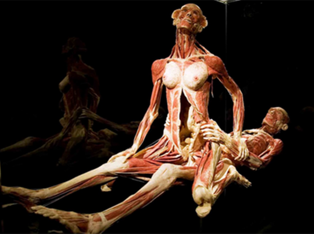 पैसे देकर शवों को सेक्स करते देखने का मौका! नहीं देखा होगा आपने कभी ऐसा पैसे देकर शवों को सेक्स करते देखने का मौका! नहीं देखा होगा आपने कभी ऐसा