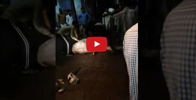 इस वीडियो को देखकर जरुर कहेंगे, मुस्लिम ने बचाई गाय की जान