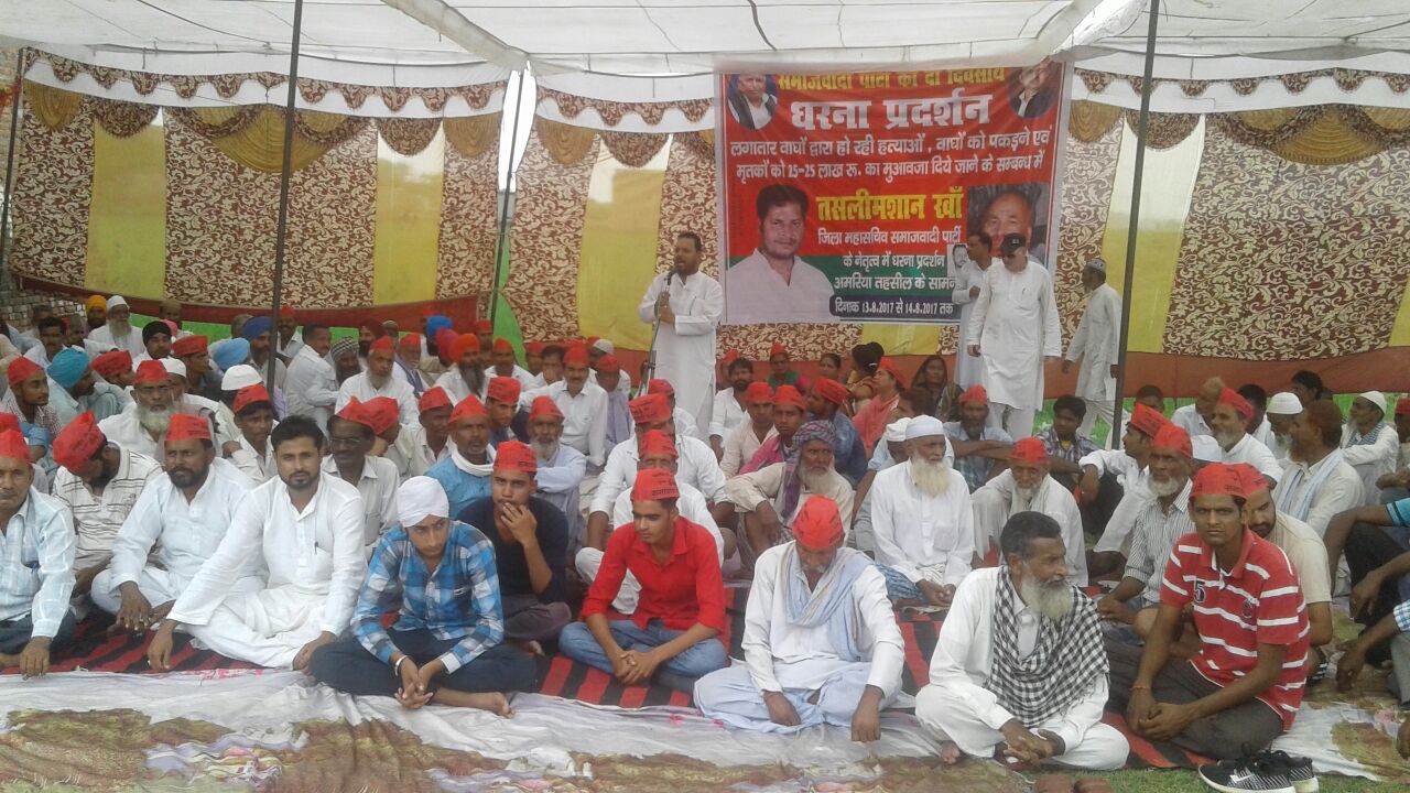 पीलीभीत : बाघ के हमले से मारे गए किसानों के लिए सपा ने दिया धरना, मुआबजे की उठाई मांग पीलीभीत : बाघ के हमले से मारे गए किसानों के लिए सपा ने दिया धरना, मुआबजे की उठाई मांग