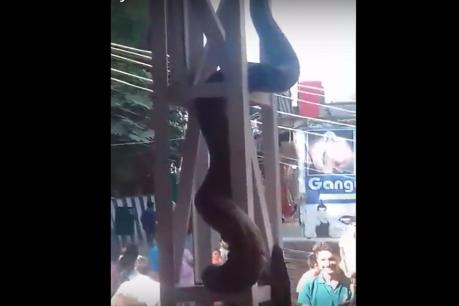 दादर स्टेशन पर अचानक निकल आया ANACONDA, मचा हडकम्प