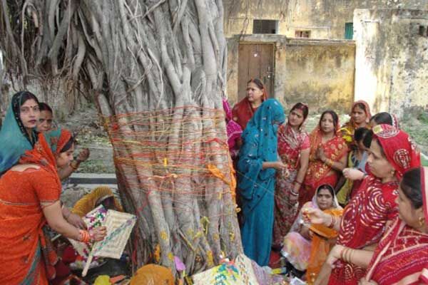 ज्योतिषाचार्य पं .गणेश मिश्र से जानिए वट सावित्री व्रत की पूजन विधि