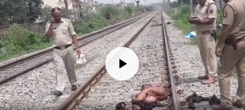 देखें वीडियो: मुरादनगर में युवक और युवती ने दी ट्रेन के आगे कूदकर जान