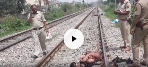 देखें वीडियो: मुरादनगर में युवक और युवती ने दी ट्रेन के आगे कूदकर जान देखें वीडियो: मुरादनगर में युवक और युवती ने दी ट्रेन के आगे कूदकर जान