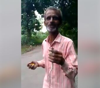 मौत का लाइव वीडियो:सांप से खिलवाड़ करते करते चली गई किसान की जान! मौत का लाइव वीडियो:सांप से खिलवाड़ करते करते चली गई किसान की जान!