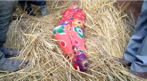 13 दिन से लापता बच्ची का शव मिलने से फैली सनसनी 13 दिन से लापता बच्ची का शव मिलने से फैली सनसनी