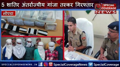 नोएडा पुलिस की बड़ी कार्यवाही, 5 शातिर अंतर्राज्यीय गांजा तस्कर गिरफ्तार, 100 किलो गांजा बरामद नोएडा पुलिस की बड़ी कार्यवाही, 5 शातिर अंतर्राज्यीय गांजा तस्कर गिरफ्तार, 100 किलो गांजा बरामद
