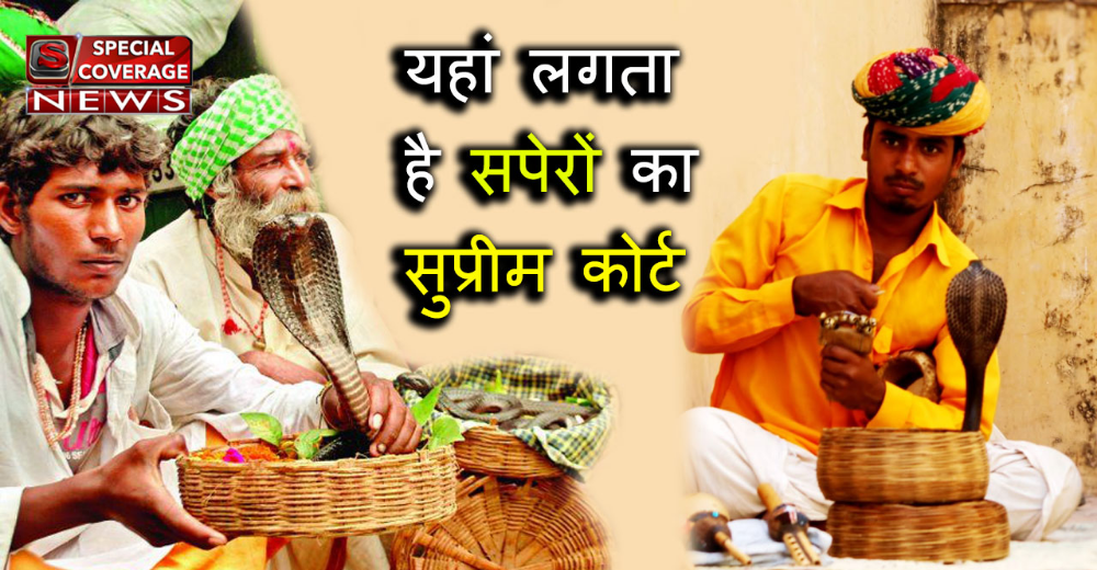 यूपी के इस गांव में लगता है सपेरों का सुप्रीम कोर्ट, 3 तारीख में केस खत्म!