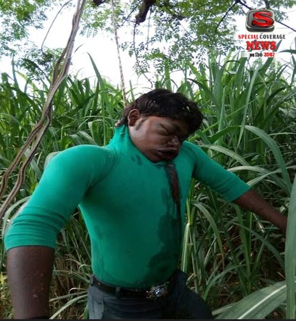 पेड़ पर शव लटका होने से क्षेत्र में मची सनसनी