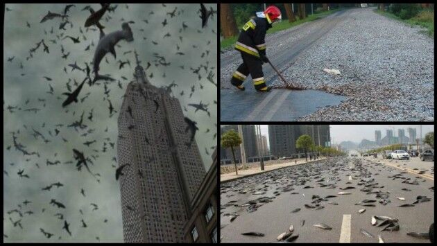 एक ऐसा देश जहां 100 सालों से हो रही है, मछलियों की बारिश?