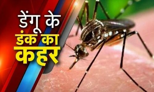तीन महीने में चिकनगुनिया के 79 और डेंगू के 24 मामले