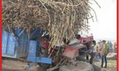 गन्ने का सीजन चल पड़ा यानी सड़को पर मौत के दानव निकल पड़े गन्ने का सीजन चल पड़ा यानी सड़को पर मौत के दानव निकल पड़े