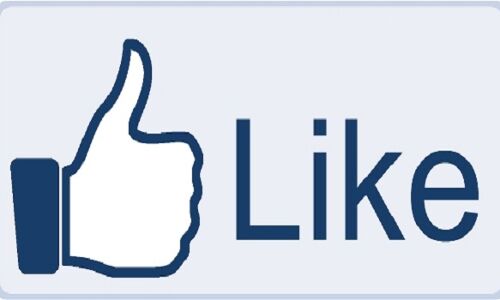 लाइक के नाम पर ठगी करने वाली 2 और कंपनियां बंद