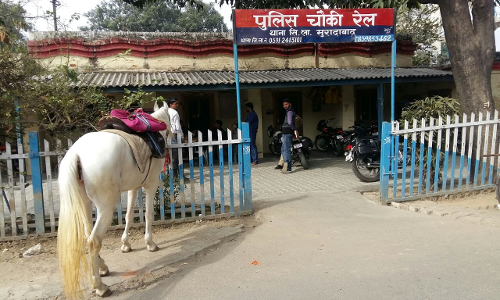 दिल्ली लखनऊ हाईवे पर हादसे के बाद पुलिस चौकी पहुंचा घोड़ा