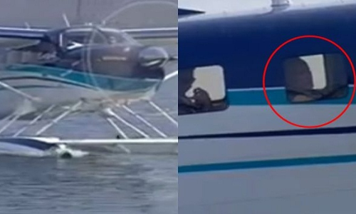 सी-प्लेन में सवार होकर साबरमती से धरोई डैम पहुंचे पीएम मोदी, जाएंगे अंबाजी मंदिर सी-प्लेन में सवार होकर साबरमती से धरोई डैम पहुंचे पीएम मोदी, जाएंगे अंबाजी मंदिर