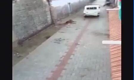 आप भी देखें वीडियो: गुजरात के एक गांव में जब दिन दहाड़े घुसा शेर! लोगों में मची अफरा-तफरी