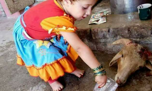 बूढ़े माँ बाप का एक टूटा हुआ चश्मा नहीं बनवा पाए, दस हजार का बकरा ले आए, क्या यह कुर्बानी अल्लाह को पसंद होगी