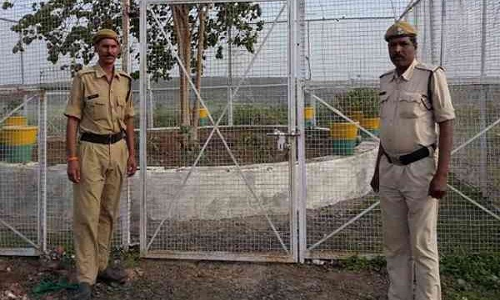 यह है देश का सबसे VVIP पेड़, सुरक्षा में हर साल 12 लाख खर्च करती है मध्य प्रदेश सरकार