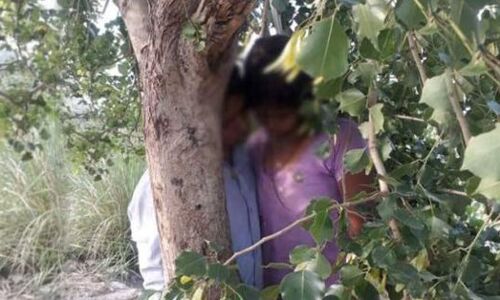 यूपी के संभल में प्रेमी प्रेमिका के शव पेड़ पर लटके मिले, इलाके में मची सनसनी यूपी के संभल में प्रेमी प्रेमिका के शव पेड़ पर लटके मिले, इलाके में मची सनसनी