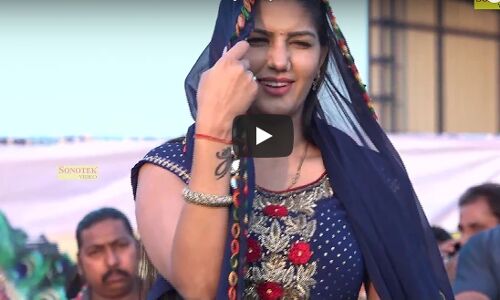 सपना चौधरी ने उडाये सभी के तोते, देखते रह गये यह वीडियो!