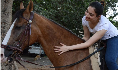 घोड़ी पर चढ़ने से कतरा रहे हैं दूल्हे जब पता चली ये बात, मचा हडकम्प