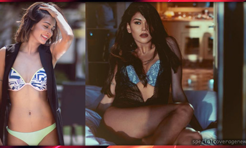 बिग बॉस की एक्स-कंटेस्टेंट ने पार की बोल्डनेस की हदें, देखिए- तस्वीरें?