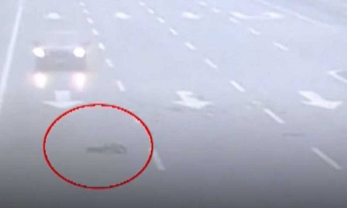 फ़ाइल फोटो फ़ाइल फोटो