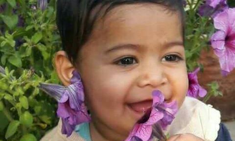 इस 11 माह के इस बच्चे को बारात से दो लोगो ने अगवा कर लिया है, शेयर करें लोगों तक खबर पहुंचाएं