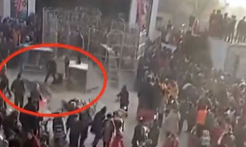 देखें कैसे एक सर्कस के शो के दौरान पिंजरे से भाग निकला बाघ, वीडियो हुआ वायरल