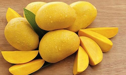 सावधान: अगर आप गर्मी में ले रहे हैं आम का मजा, तो पहले जान लें ये बातें