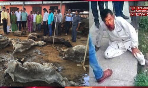 स्वदेशी आतंकियों के राष्ट्रवादी पाखण्ड की भेंट चढ़ा पहलु खान!