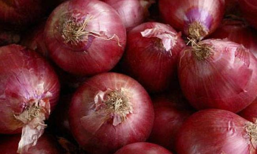 प्‍याज के इन 6 फायदों के बारे में जानकर हैरान रह जाएंगे आप