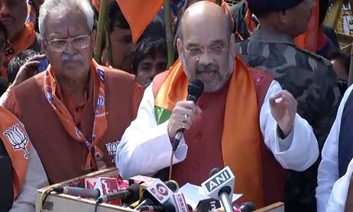 प्रदेश को लूटने के लिए दोनों शहजादे हुए है इक्कठे - अमित शाह