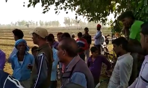 पीलीभीत में नहीं थम रहा बाघों का आतंक, खौफ में जी रहे हैं किसान पीलीभीत में नहीं थम रहा बाघों का आतंक, खौफ में जी रहे हैं किसान