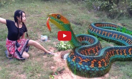 डेढ़ करोड़ लोंगों ने देखा ये वीडियो, लडकी ने किया एसा कारनामा!