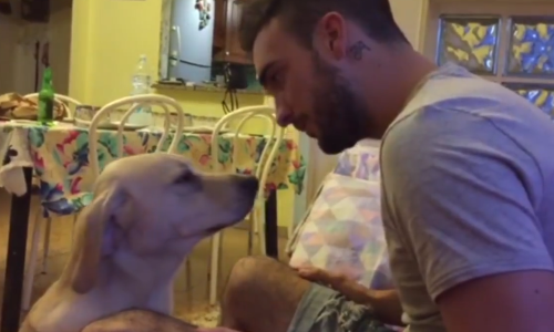 रूठे मालिक को इस डॉग ने कैसे मनाया, वीडियो देख आप भी हो जाएंगे भावुक